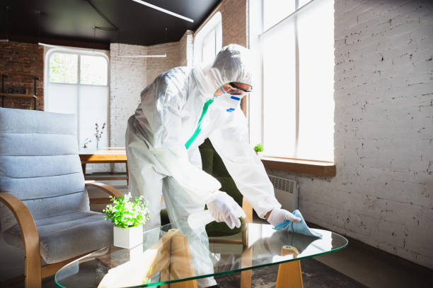 Why You Should Choose Our Mold Remediation Services in Arthurdale, WV